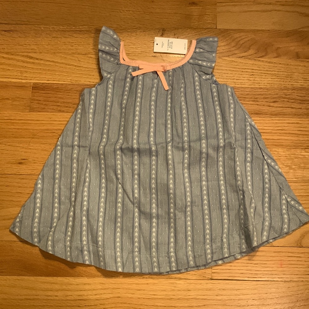 Baby gap dress